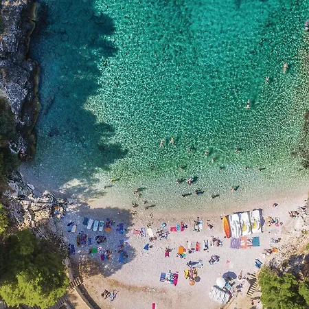 Ξενοδοχείο Awesome In With Wi-fi 3*